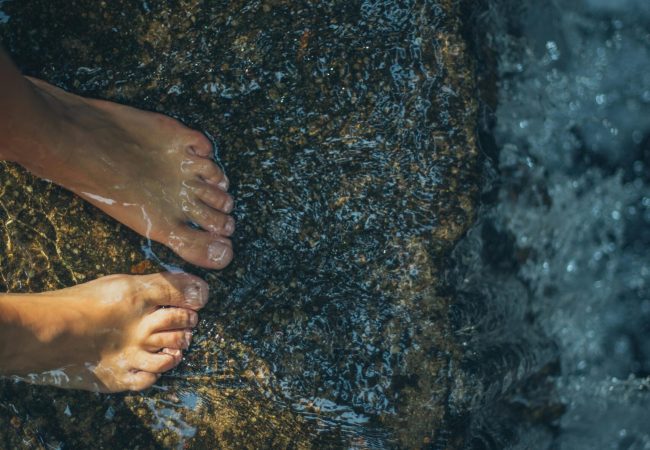 pexels-elina-sazonova-3099645